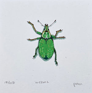 Weevil Prints