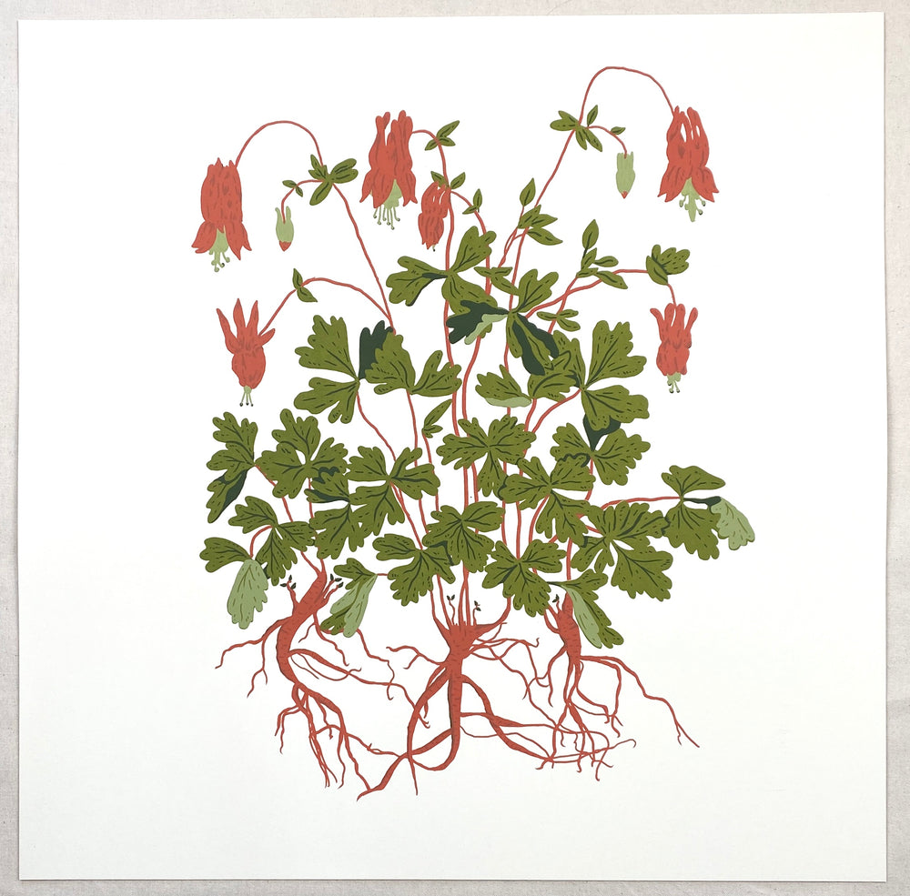 Columbine Print