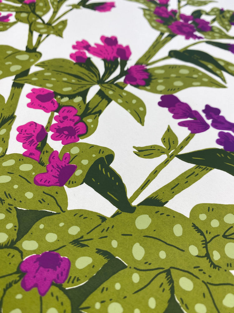 Lungwort