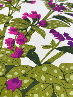 Lungwort