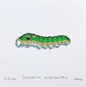 Spicebush Swallowtail Caterpillar Prints