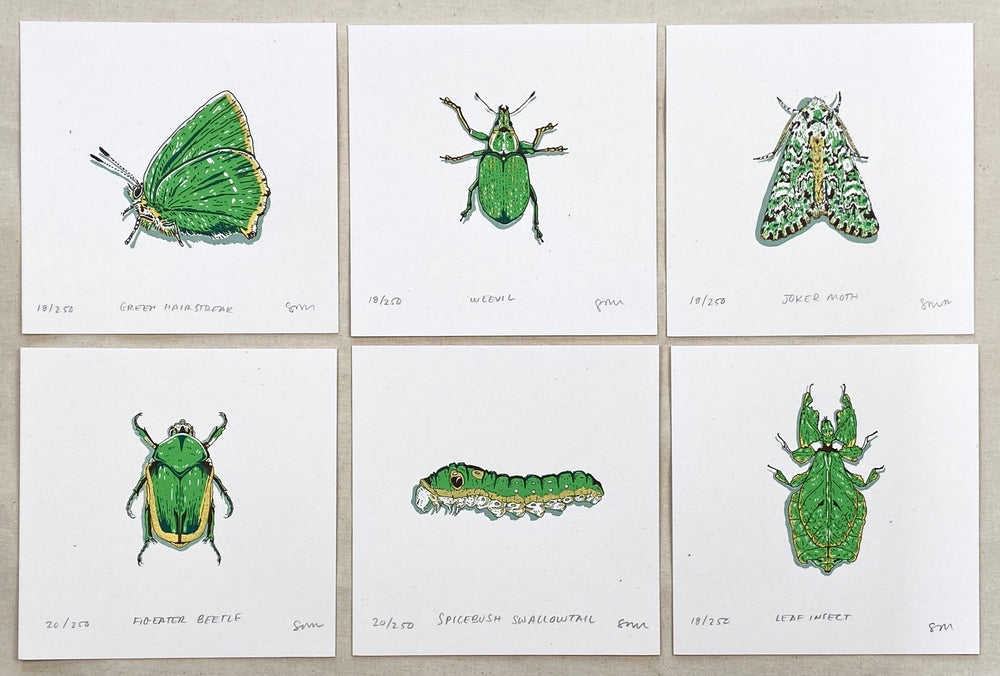 Leaf Insect Prints