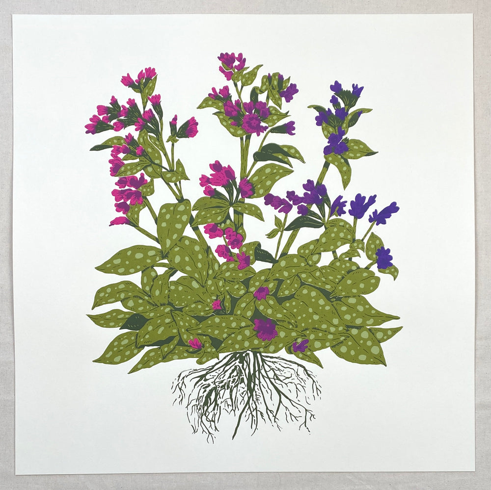 Lungwort