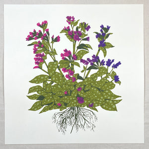 Lungwort