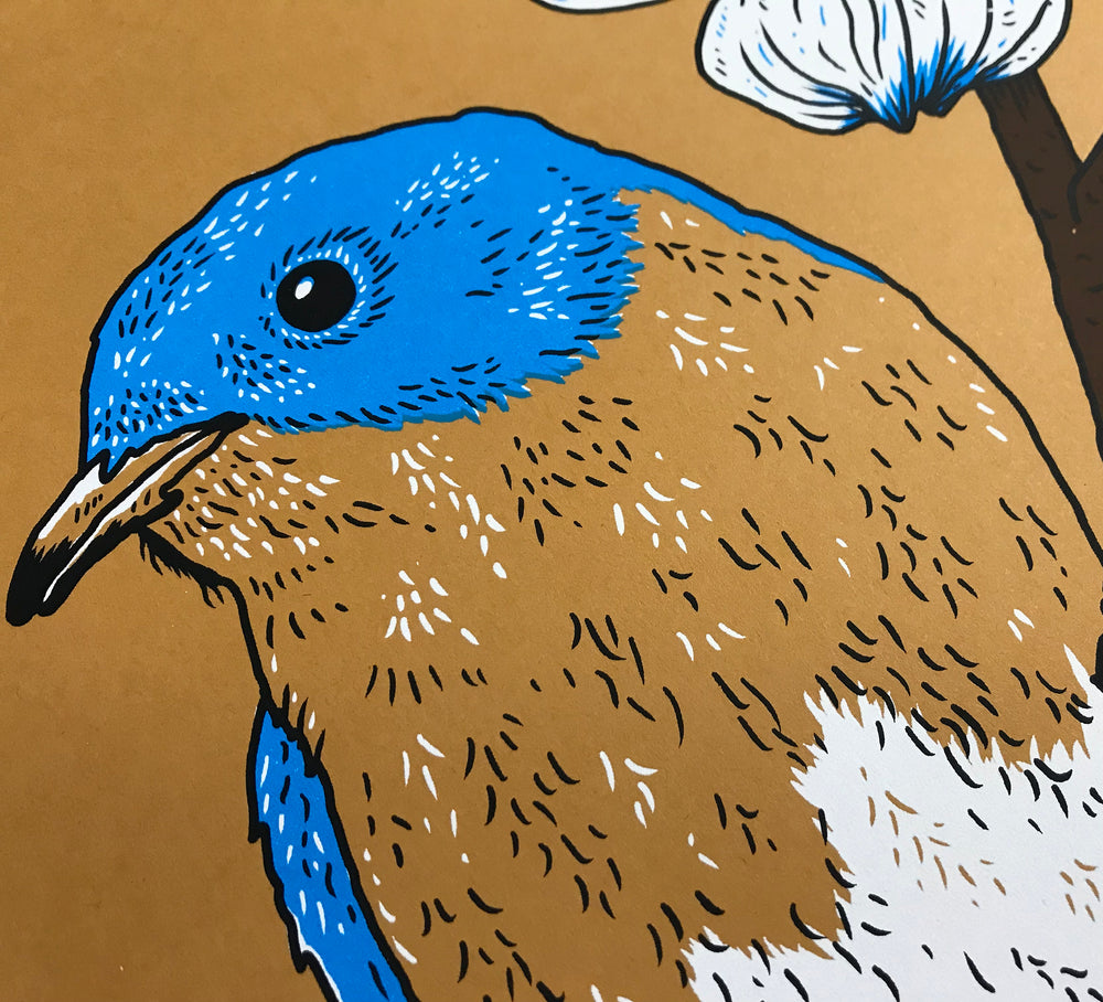 
            
                Load image into Gallery viewer, Bluebird
            
        