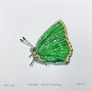 Green Hairstreak Butterfly Prints