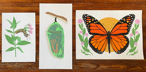Monarch Butterfly Print