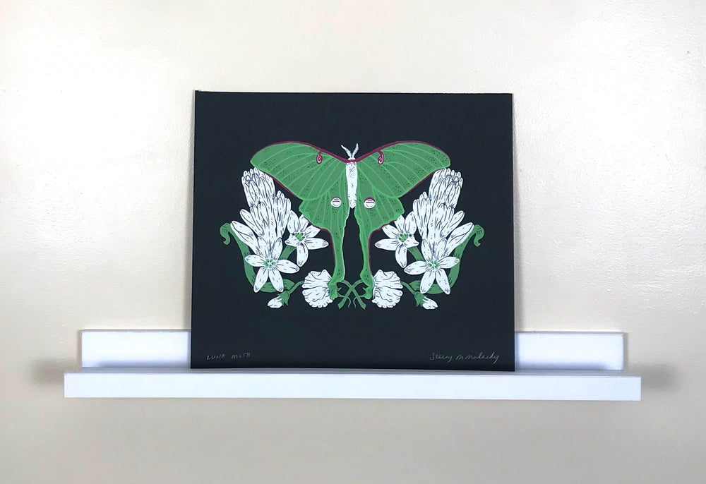 Luna Moth Print