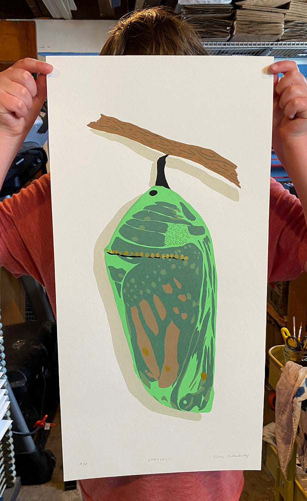 Chrysalis